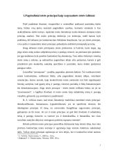 Bendrieji tarptautinės teisės principai 3 puslapis