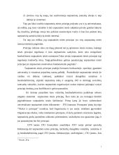 Bendrieji tarptautinės teisės principai 7 puslapis