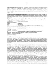 Dalykinio bendravimo ypatumai Kinijoje 9 puslapis