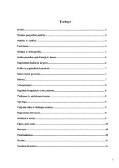 Danų etiketas ir nacionaliniai vadybos ypatumai 2 puslapis