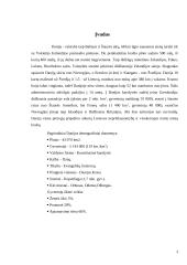 Danų etiketas ir nacionaliniai vadybos ypatumai 3 puslapis