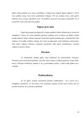 Danų etiketas ir nacionaliniai vadybos ypatumai 10 puslapis