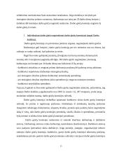 Darbo ginčų nagrinėjimas Lietuvos Respublikoje 13 puslapis