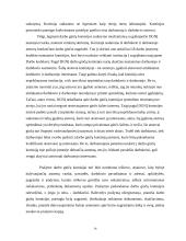 Darbo ginčų nagrinėjimas Lietuvos Respublikoje 14 puslapis