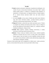 Daugialąsčiai mikroorganizmai (verpetės, kirmėlės, nariuotakojai) 14 puslapis