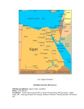 Bendra Egipto apžvalga