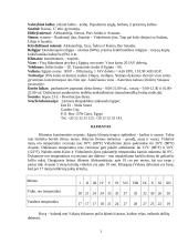 Bendra Egipto apžvalga 2 puslapis