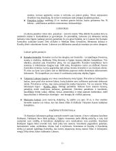 Bendra Egipto apžvalga 11 puslapis