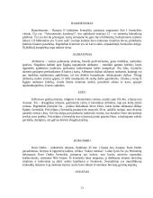 Bendra Egipto apžvalga 12 puslapis