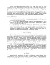 Bendra Egipto apžvalga 13 puslapis