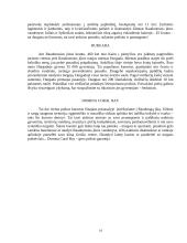 Bendra Egipto apžvalga 14 puslapis