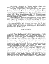 Bendra Egipto apžvalga 4 puslapis