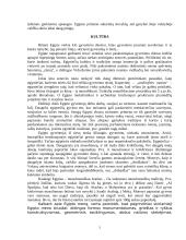 Bendra Egipto apžvalga 5 puslapis