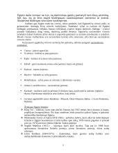 Bendra Egipto apžvalga 6 puslapis