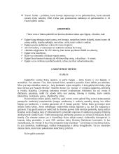 Bendra Egipto apžvalga 7 puslapis