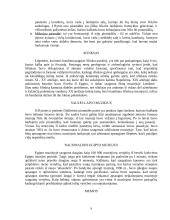 Bendra Egipto apžvalga 9 puslapis