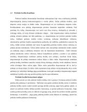 Eksporto kreditų draudimas ir jų svarba mažinant riziką 13 puslapis