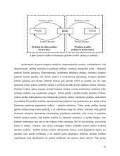 Eksporto kreditų draudimas ir jų svarba mažinant riziką 14 puslapis