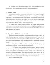 Eksporto kreditų draudimas ir jų svarba mažinant riziką 20 puslapis