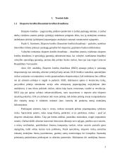 Eksporto kreditų draudimas ir jų svarba mažinant riziką 4 puslapis