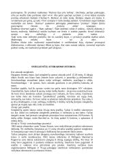 Ekstremalus sportas 5 puslapis