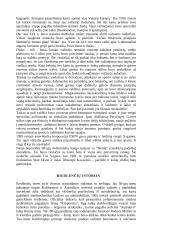 Ekstremalus sportas 7 puslapis