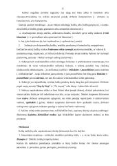 Elementariausi kalbos etiketo reikalavimai 10 puslapis