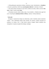 Elementariausi kalbos etiketo reikalavimai 12 puslapis