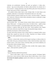 Elementariausi kalbos etiketo reikalavimai 9 puslapis