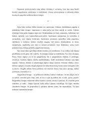 Elgesys ir kultūra 5 puslapis