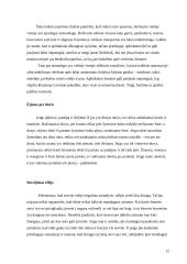 Elgesys viešoje vietoje 12 puslapis