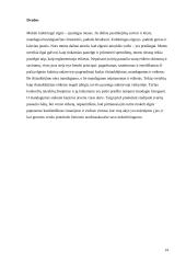 Elgesys viešoje vietoje 14 puslapis