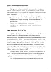 Elgesys viešoje vietoje 5 puslapis