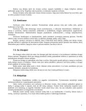 Etiketas visuomenėje 9 puslapis