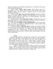 Etiketas ir jo svarba versle 3 puslapis