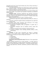 Etiketas ir jo svarba versle 5 puslapis