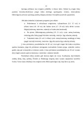 Etiketo reikalavimai dalykiniuose santykiuose 12 puslapis