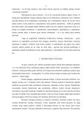 Etiketo reikalavimai dalykiniuose santykiuose 4 puslapis