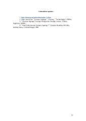 Europos Sąjungos pagrindinės institucijos 12 puslapis