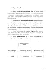 Europos Sąjungos pagrindinės institucijos 9 puslapis