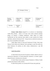 Europos Sąjungos pagrindinės institucijos 10 puslapis