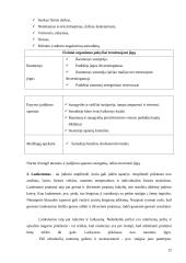 Fizinis aktyvumas ir pajėgumas 12 puslapis