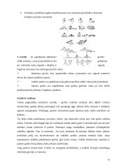 Fizinis aktyvumas ir pajėgumas 15 puslapis