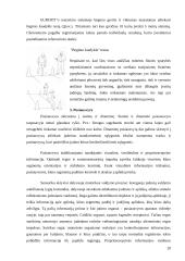 Fizinis aktyvumas ir pajėgumas 20 puslapis