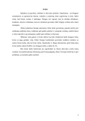 Fizinis aktyvumas ir pajėgumas 3 puslapis