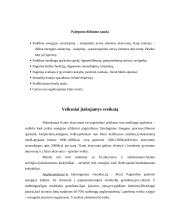 Žmogaus fizinis aktyvumas 11 puslapis