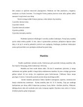 Žmogaus fizinis aktyvumas 7 puslapis