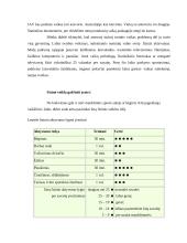 Žmogaus fizinis aktyvumas 8 puslapis