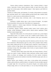 Fizinis ugdymas ir aktyvumas 4 puslapis