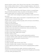 Fizinis aktyvumas ir sveikata 5 puslapis